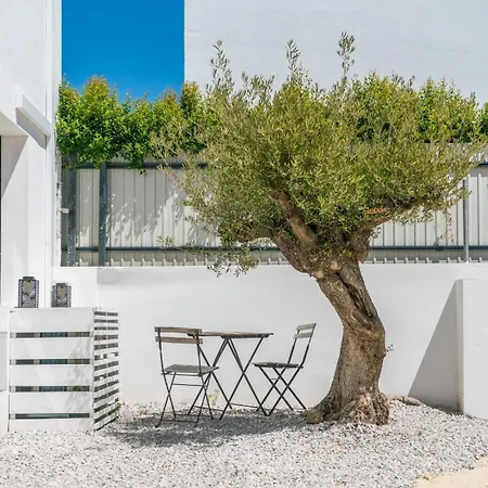 Spacious Garden & Cinema Costa Da Caparica | By Airnest